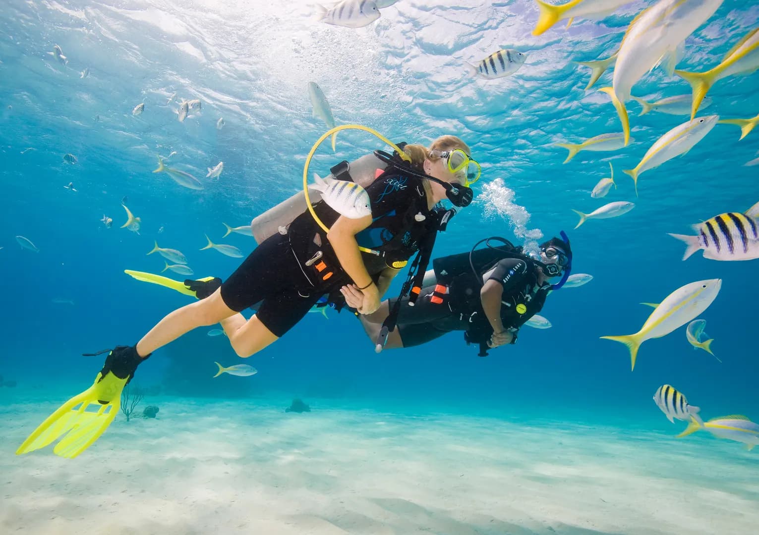 1_Discover Scuba Diving.jpg