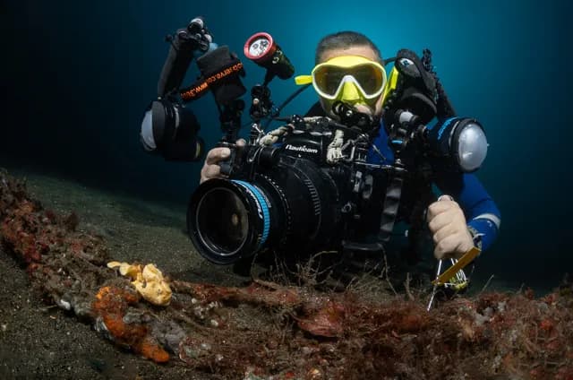 diver