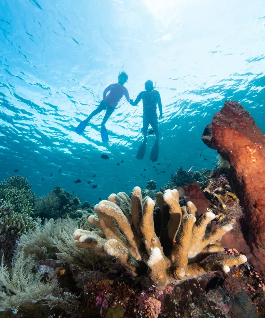 2_East Side of Lembeh.jpg