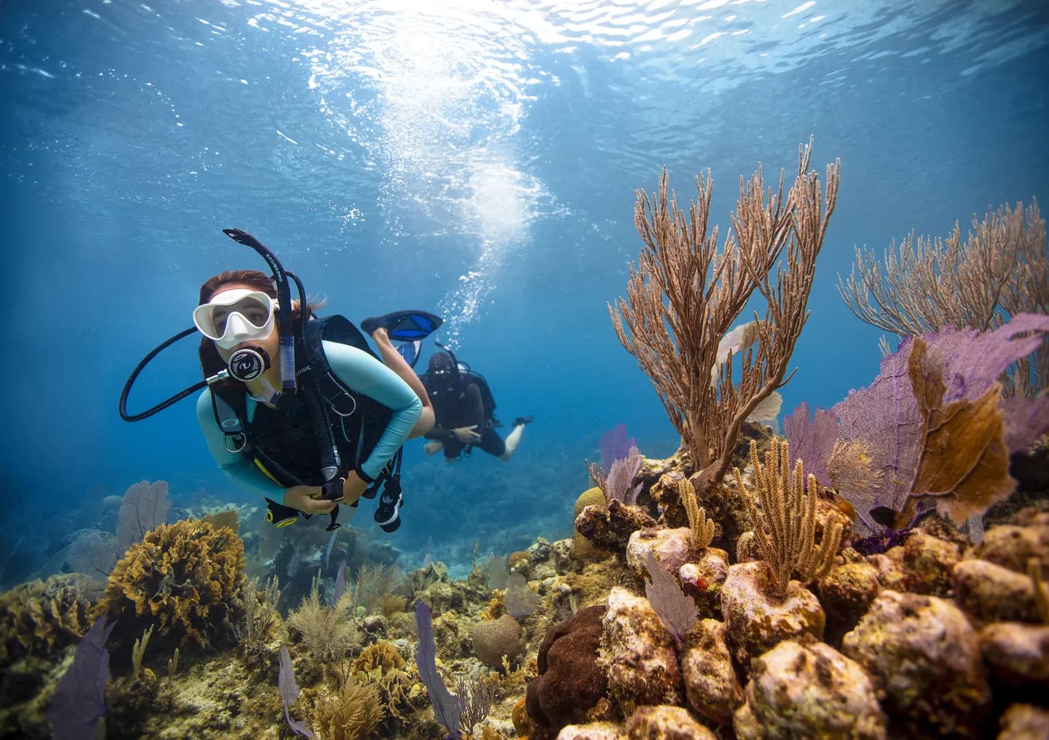 3_Open Water Diver.jpg