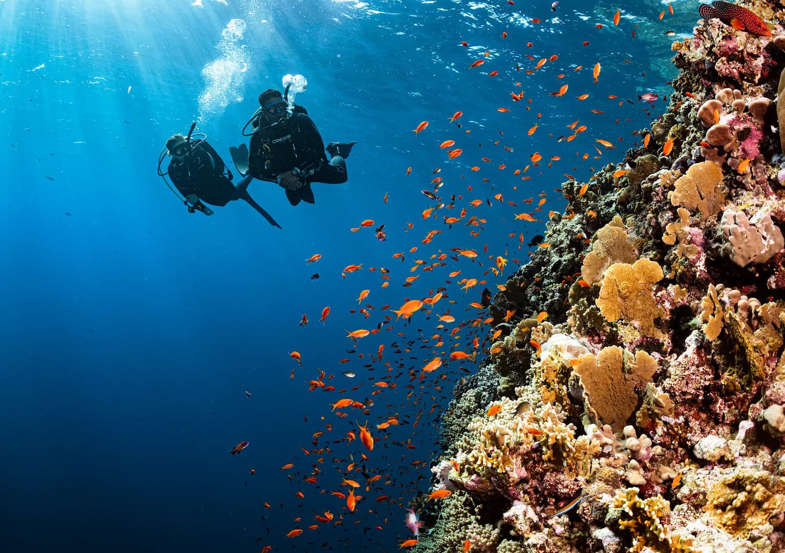 4_Advanced Open Water Diver.jpg