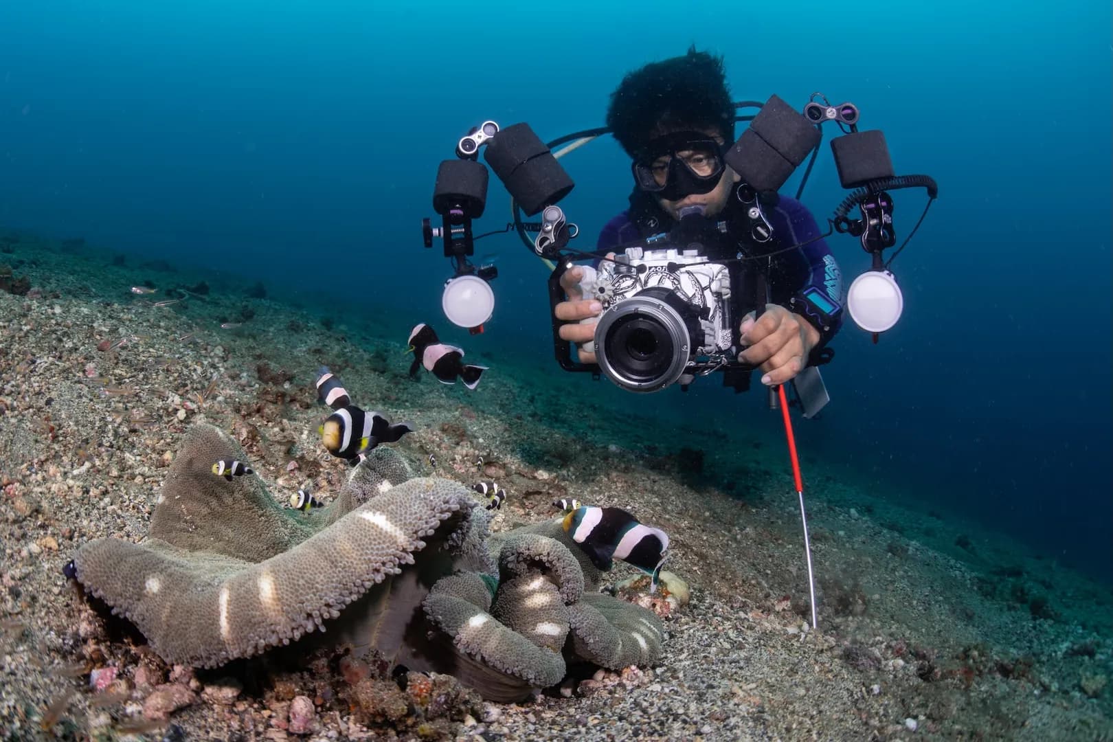 Carter with camera and clownfish