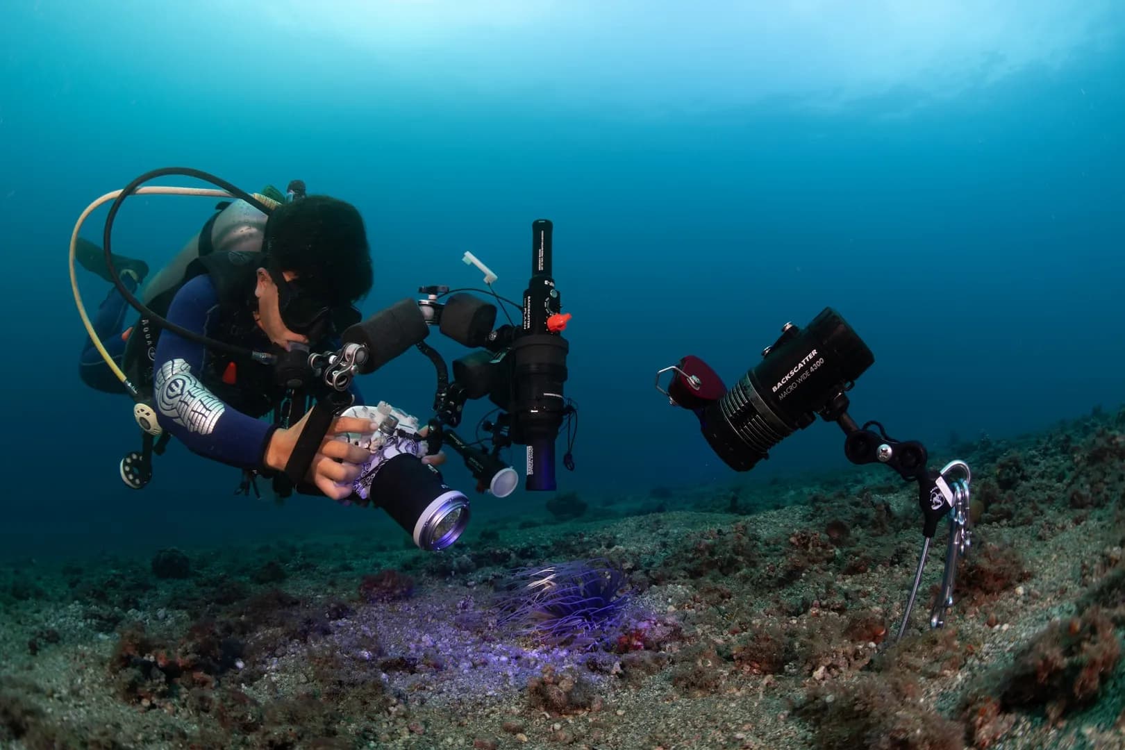 Carter with camera gear setup underwater