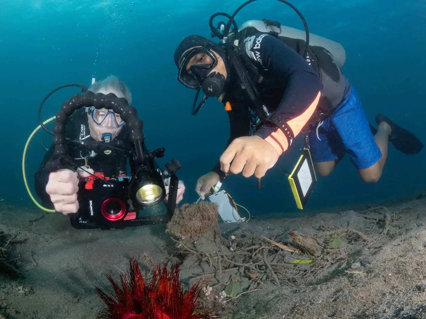 Underwater Photographer with Guide
