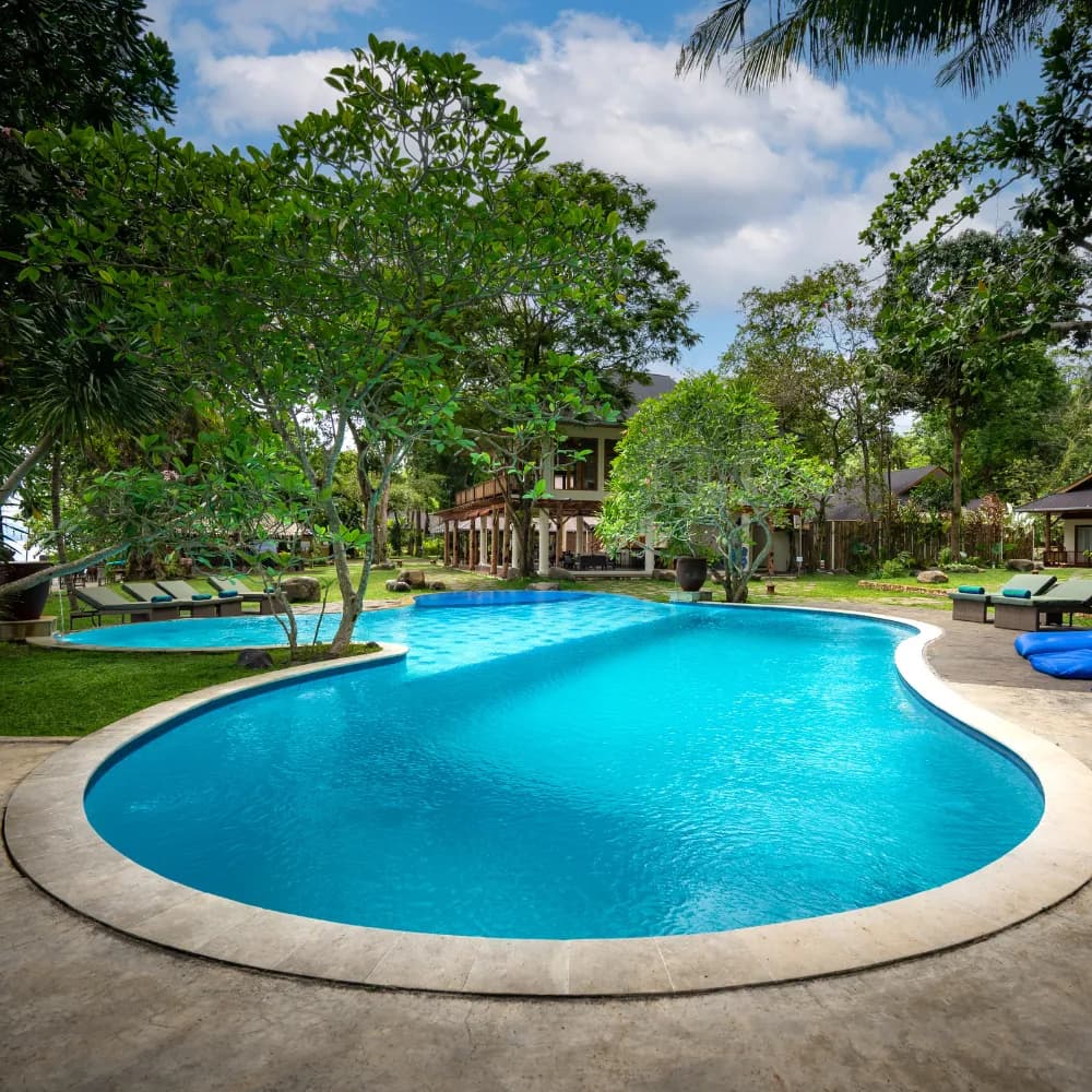 Murex Manado