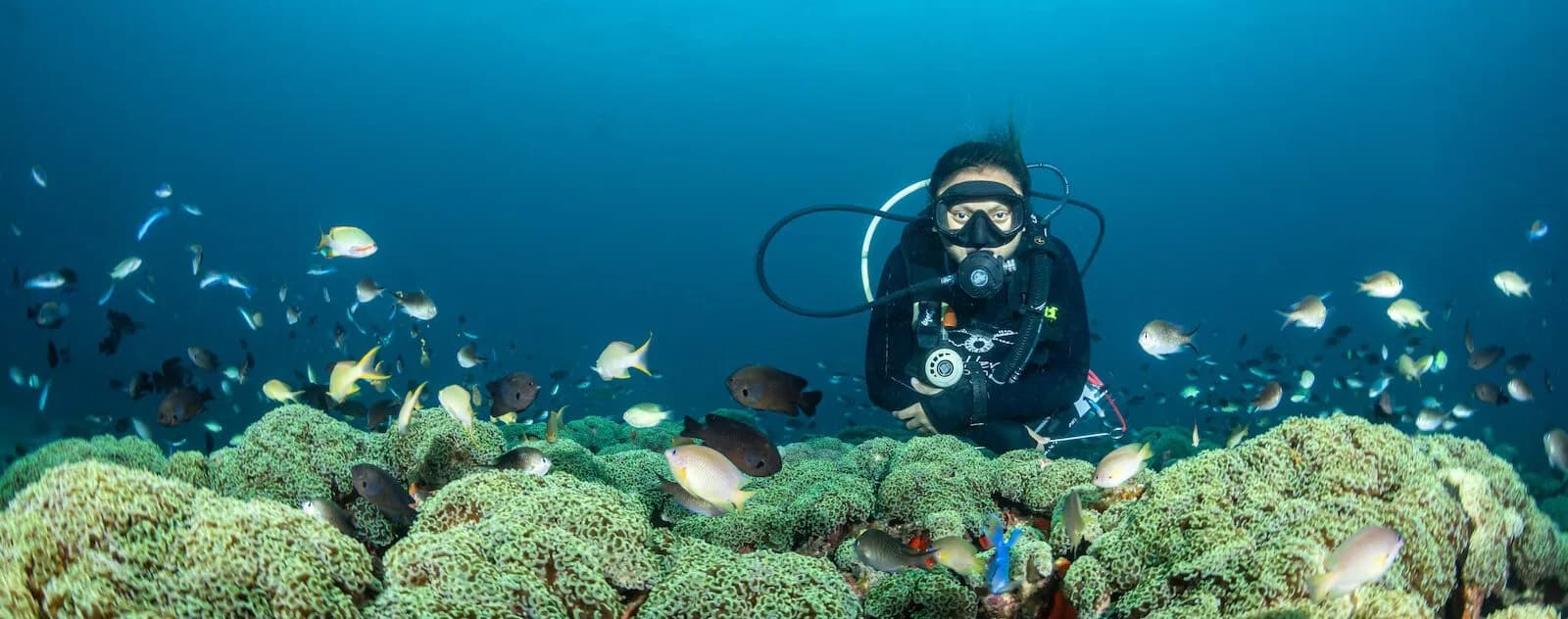 Lembeh Resort Dive Guide