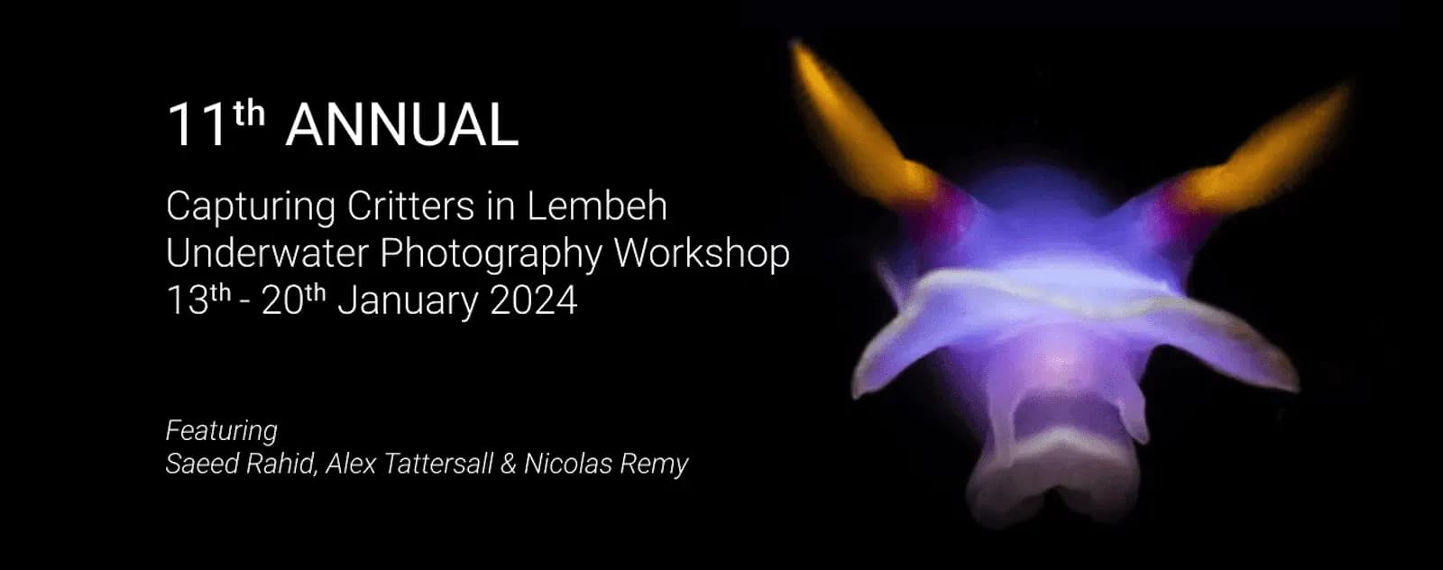 Capturing-Critters-Lembeh-Resort-2024-2-e1679107761193