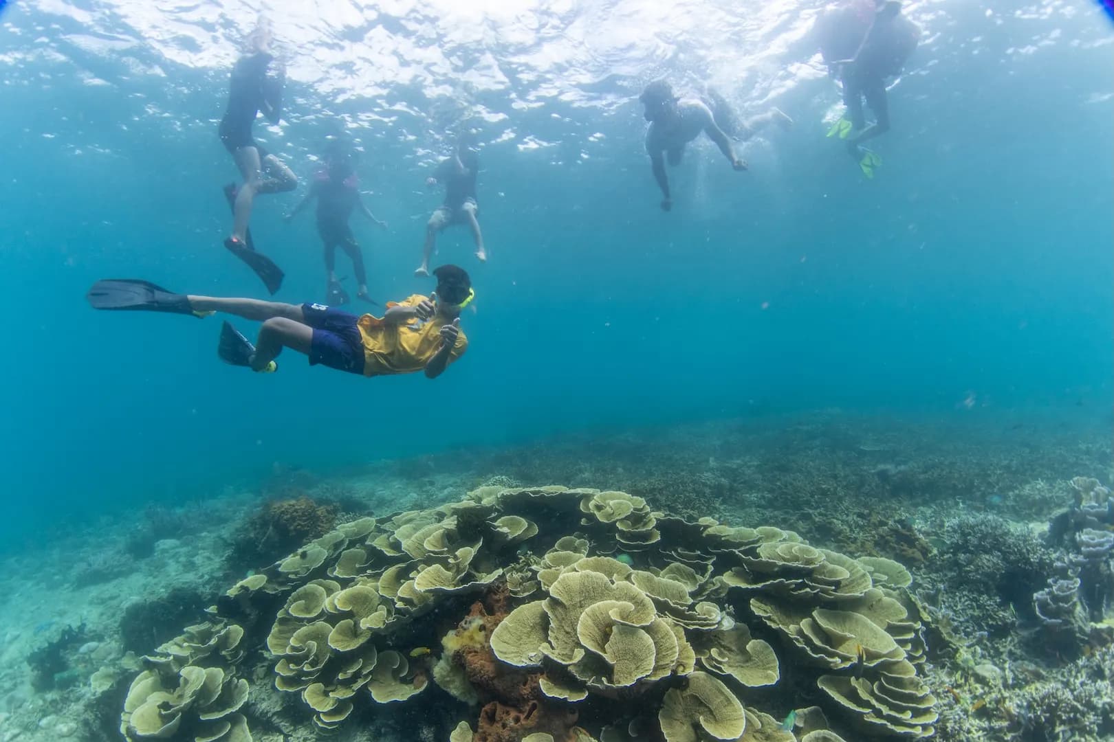 Lembeh Foundation, Pintu Kota Kecil, Snorkeling