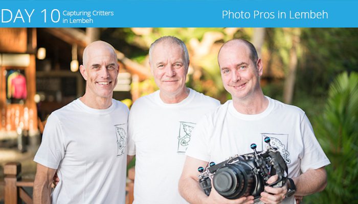 Capturing Critters in Lembeh Underwater Photography Workshop 2017
