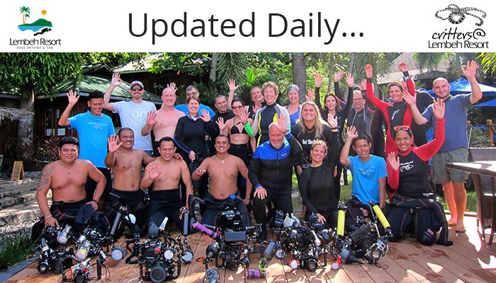 Capturing Critters in Lembeh 2016 – Underwater Photography Workshop