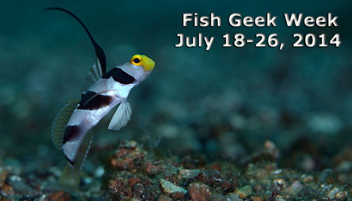 Fish Geek Week with Gerald Allen & Mark Erdmann – July 18 – 26, 2014