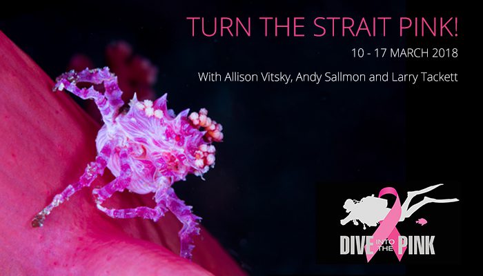 Lembeh Resort Set to Host “Turn the Strait Pink 2018”
