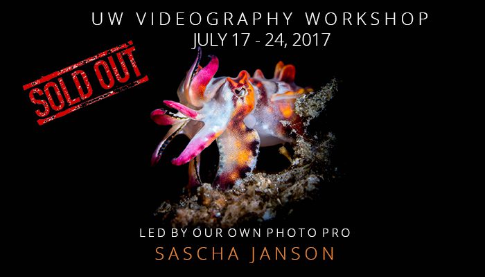 Exclusive Underwater Videography Workshop 2017