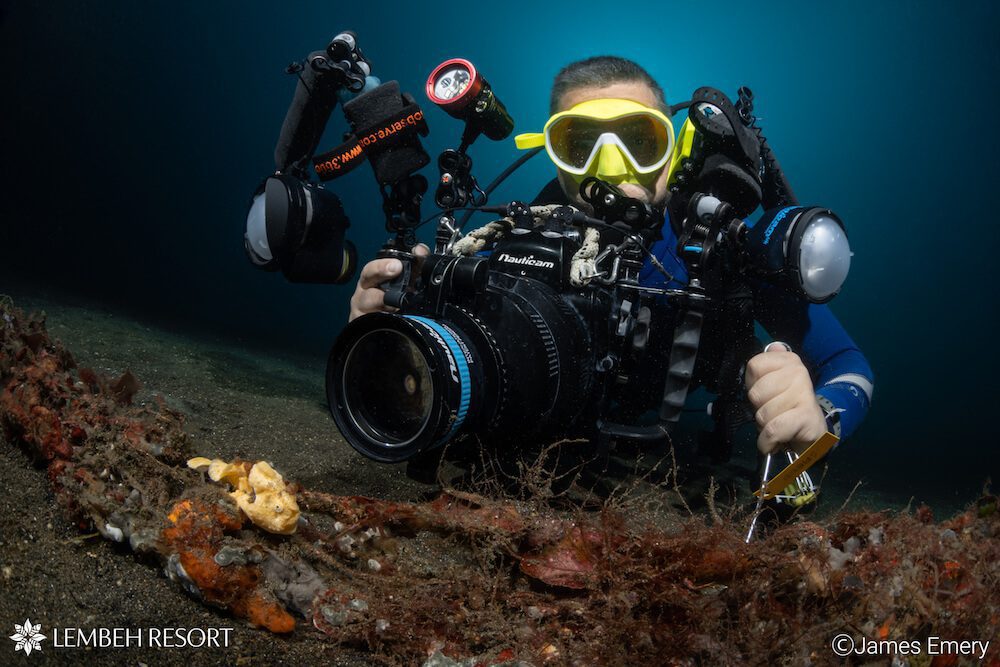 Photo Pro Saeed Rashid photographing juvenile warty frogfish at Lembeh resort