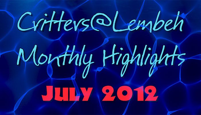 July Highlights