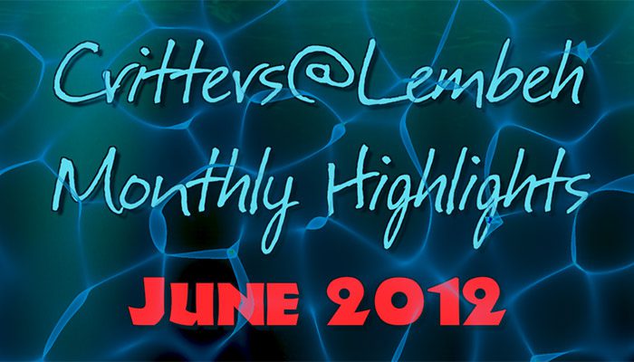 Watch our June Highlights Video