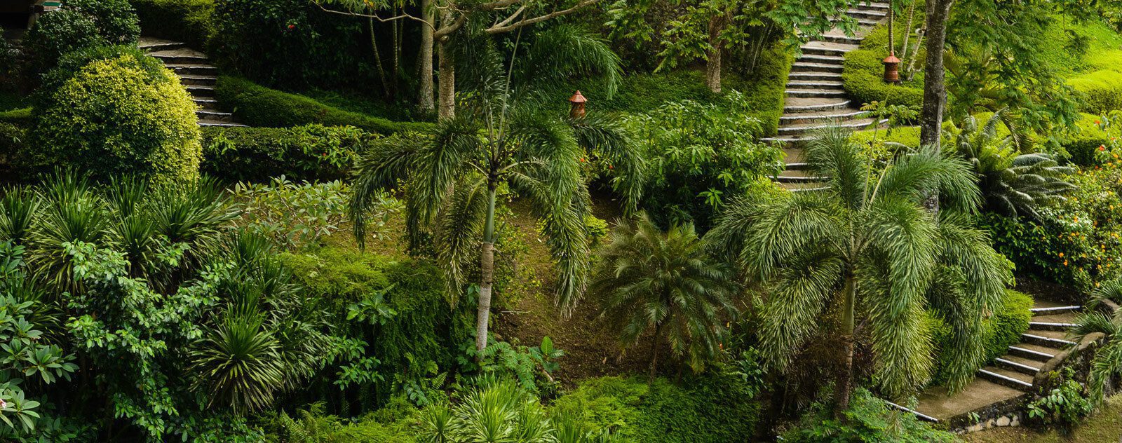 Lembeh Resort Jungle Gardens