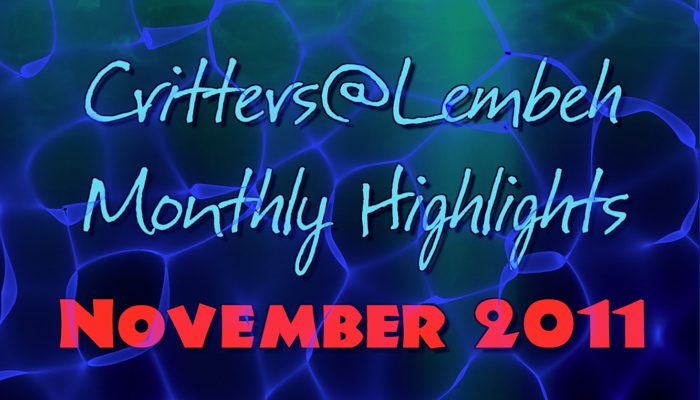 Monthly Highlights Video – November 2011