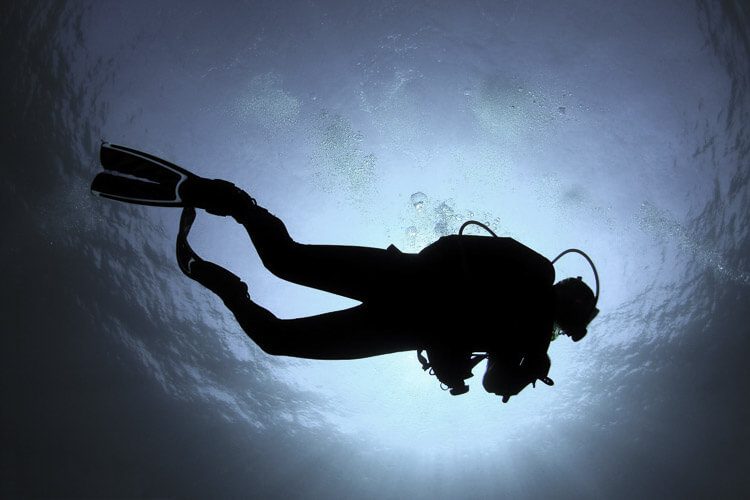 PADI Discover Scuba Diving in Lembeh
