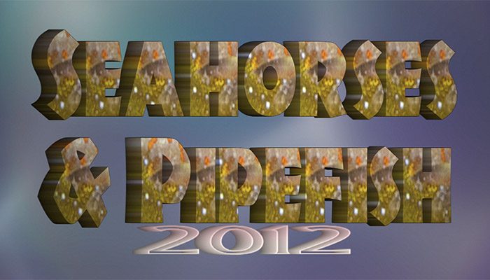 2012 Seahorse & Pipefish Highlights