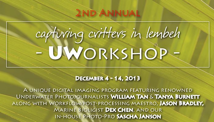 2013 Capturing Critters in Lembeh with William Tan