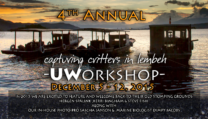 4th Annual Capturing Critters in Lembeh – UW Workshop December 5 -12, 2015