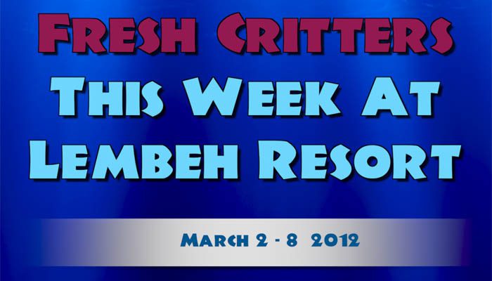 Catch our weekly Critter update produced by our in-house Photo & Video Center.