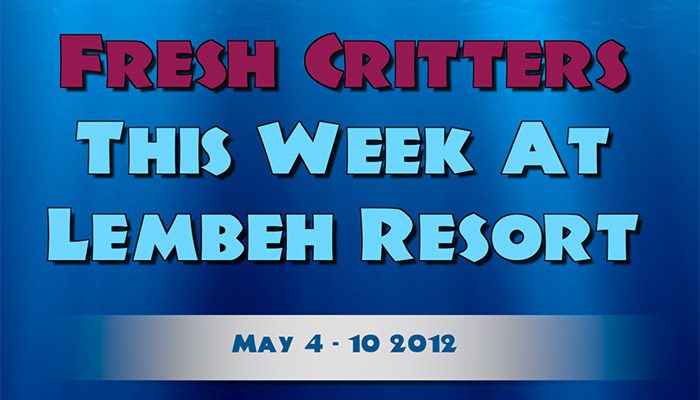 Catch our weekly Critter update produced by our in-house Photo & Video Center.