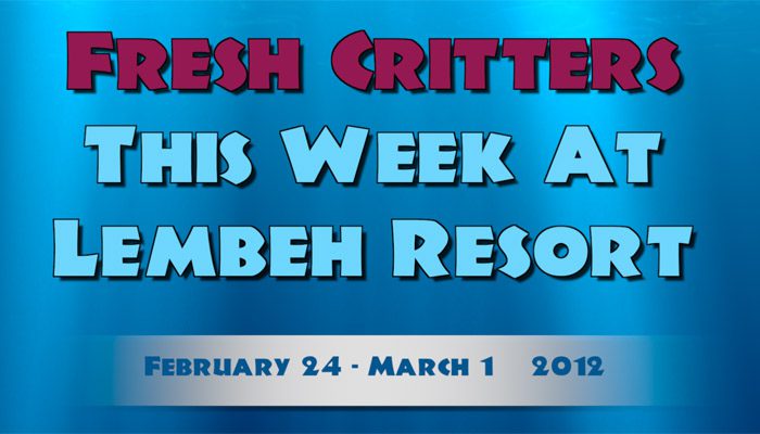 Catch our weekly Critter update produced by our in-house Photo & Video Center.