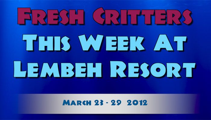 Catch our weekly Critter update produced by our in-house Photo & Video Center.