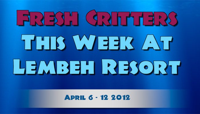 Catch our weekly Critter update produced by our in-house Photo & Video Center.