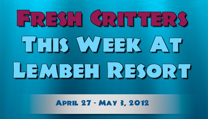 Catch our weekly Critter update produced by our in-house Photo & Video Center.