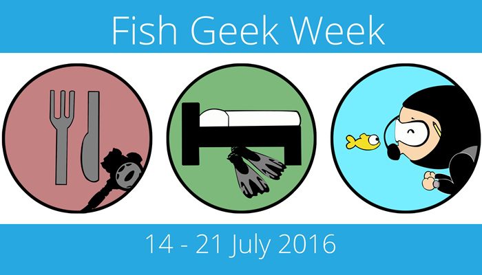 Geek von 2016