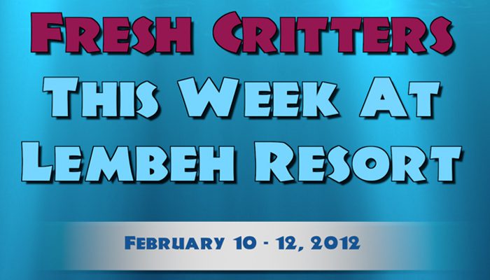Catch our weekly Critter update produced by our in-house Photo & Video Center.