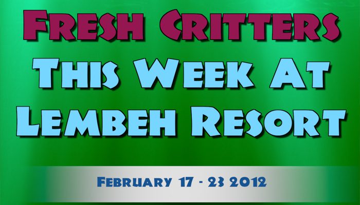 Catch our weekly Critter update produced by our in-house Photo & Video Center.