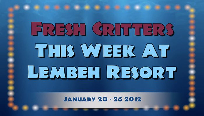 Catch our weekly Critter update produced by our in-house Photo & Video Center.